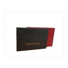 REGISTRE GRAND LIVRE