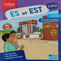 LES CAHIERS DE LA REUSSITE YASLO CM2 -ES & EST 